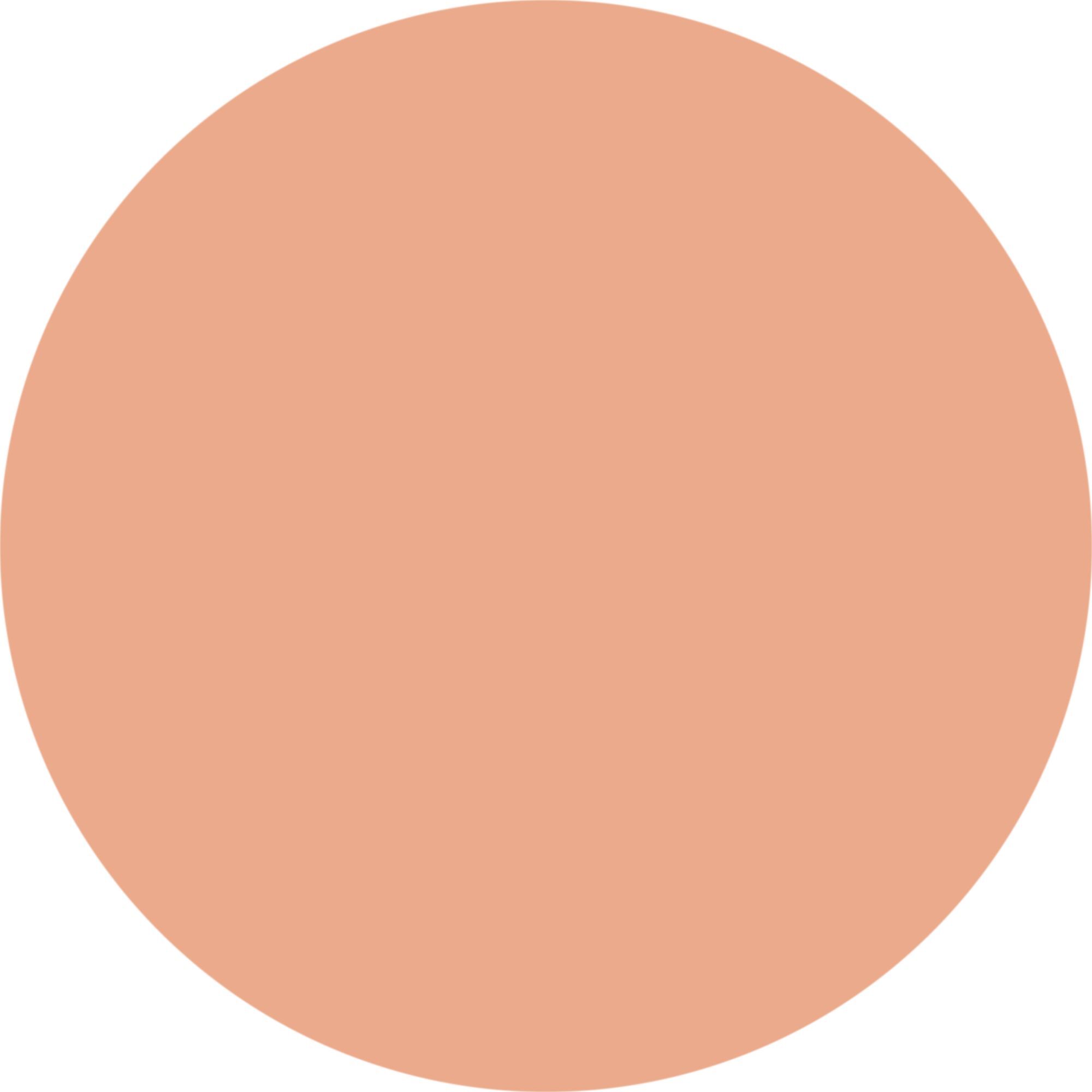 VIRTUOUS SKIN Fondotinta vegan dal finish "natural glow"