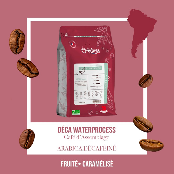 Café Bio - Déca Waterprocess - Blend Pur Arabica - Piston 250g