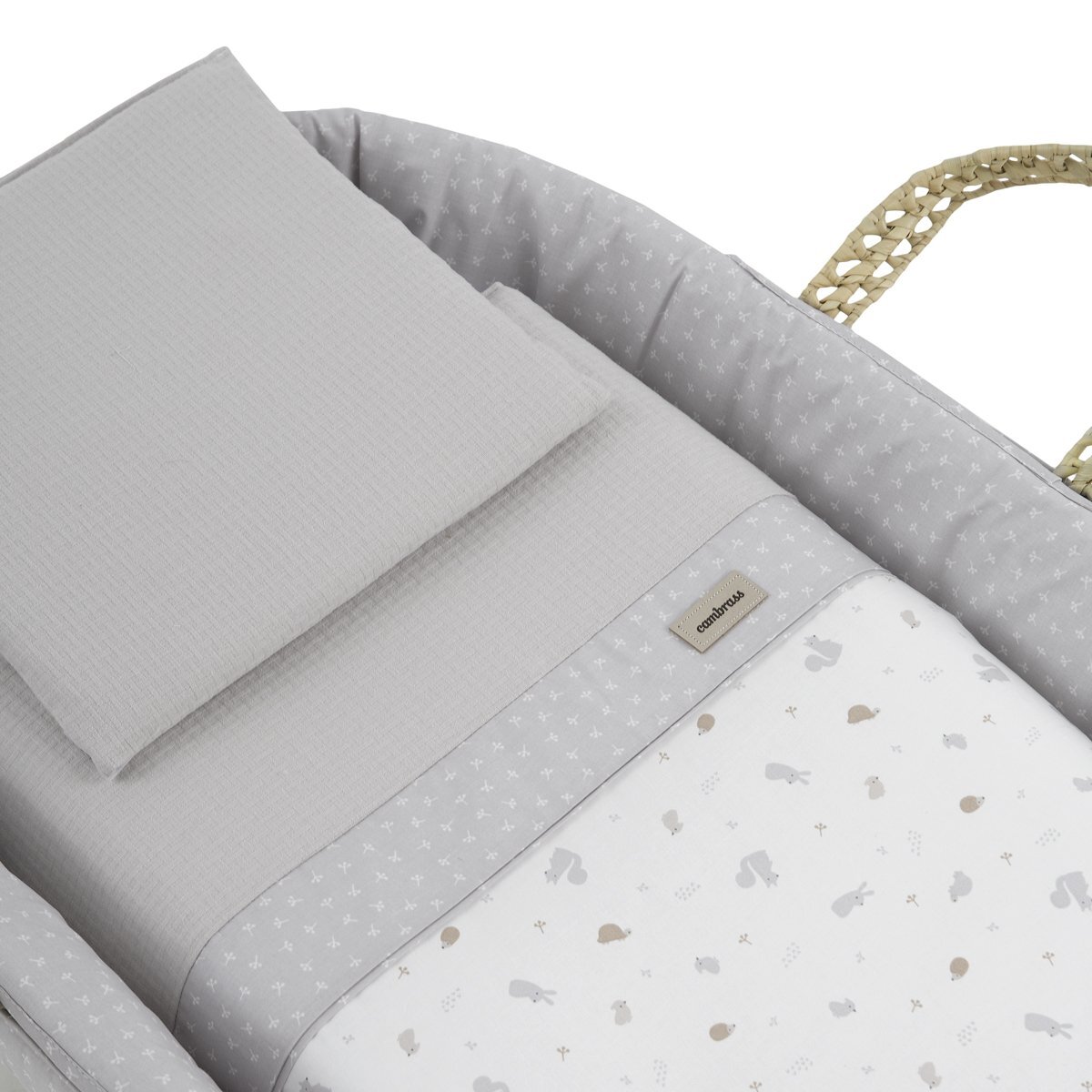 Cambrass Moises Palma Acolch+Pata M.Nat Ardi