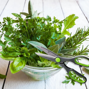 Ensemble de 2 Ciseaux de cuisine décapsuleur Nirosta