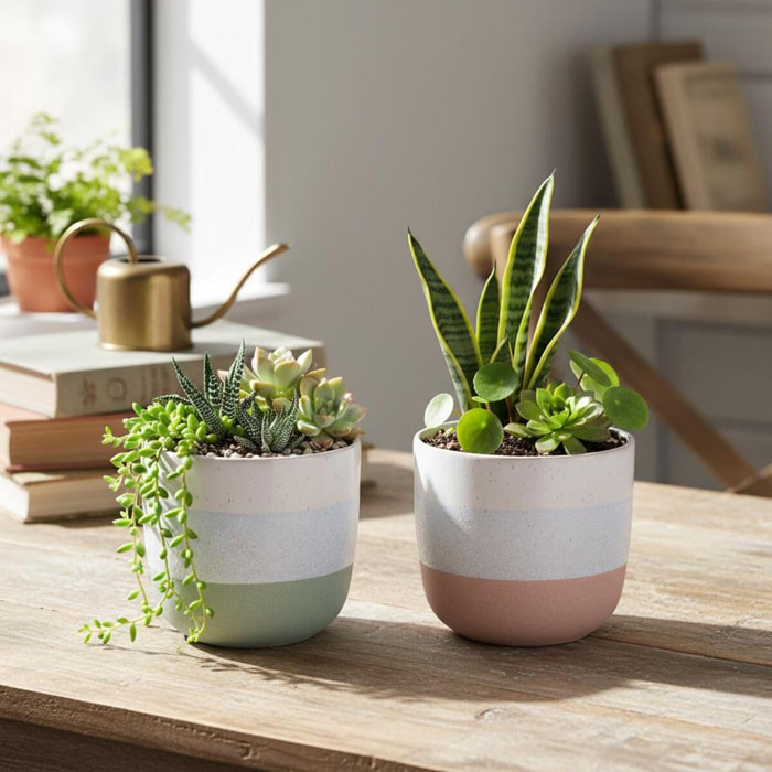 Set 2 cachepot - 13xH12x13cm - Pezzi 3 - Bianchi Dino SpA