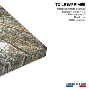 Tableau perspective des cîmes Toile imprimée