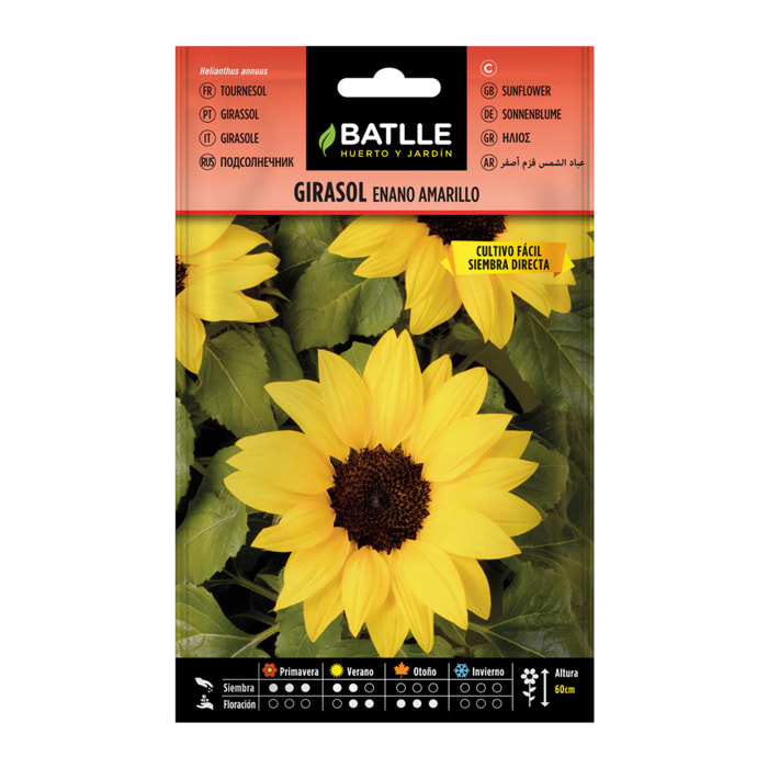 Semillas de Girasol enano amarillo Batlle
