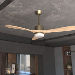 Ventilatori da soffitto EnergySilence Aero 5290 Golden Pro Cecotec