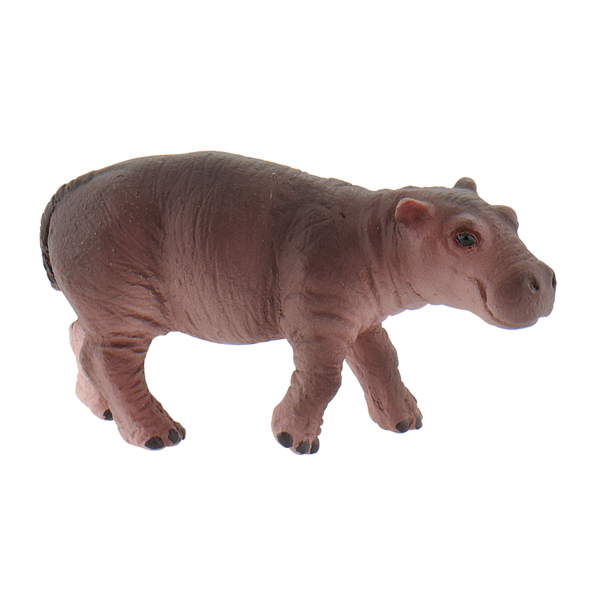 Safari/Piccolo di Ippopotamo