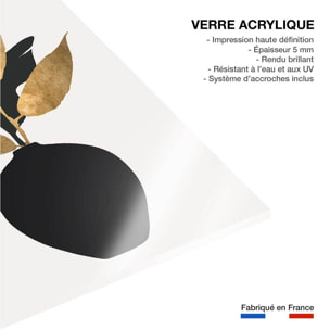 Tableau poterie et fleurs séchées Tableau plexiglas