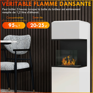 Cheminée bioéthanol design - brûleur 1,2L - contrôle de flamme, manche inclus - verre trempé acier blanc noir