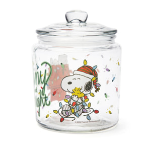Barattolo con coperchio Excelsa – Peanuts Shiny And Bright, Vetro Trasparente