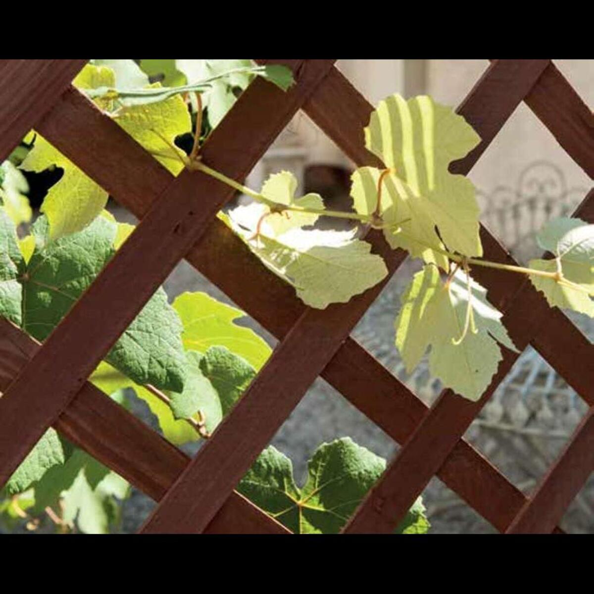 Griglia In Legno Pannello Estensibile Fino a 150 Cm Grigliato Divisorio Separè Alto 103 Cm Autoportante Per Balcone Giardino Terrazzo Piscina P