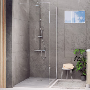 Paroi de douche Royal Chrome 110cm