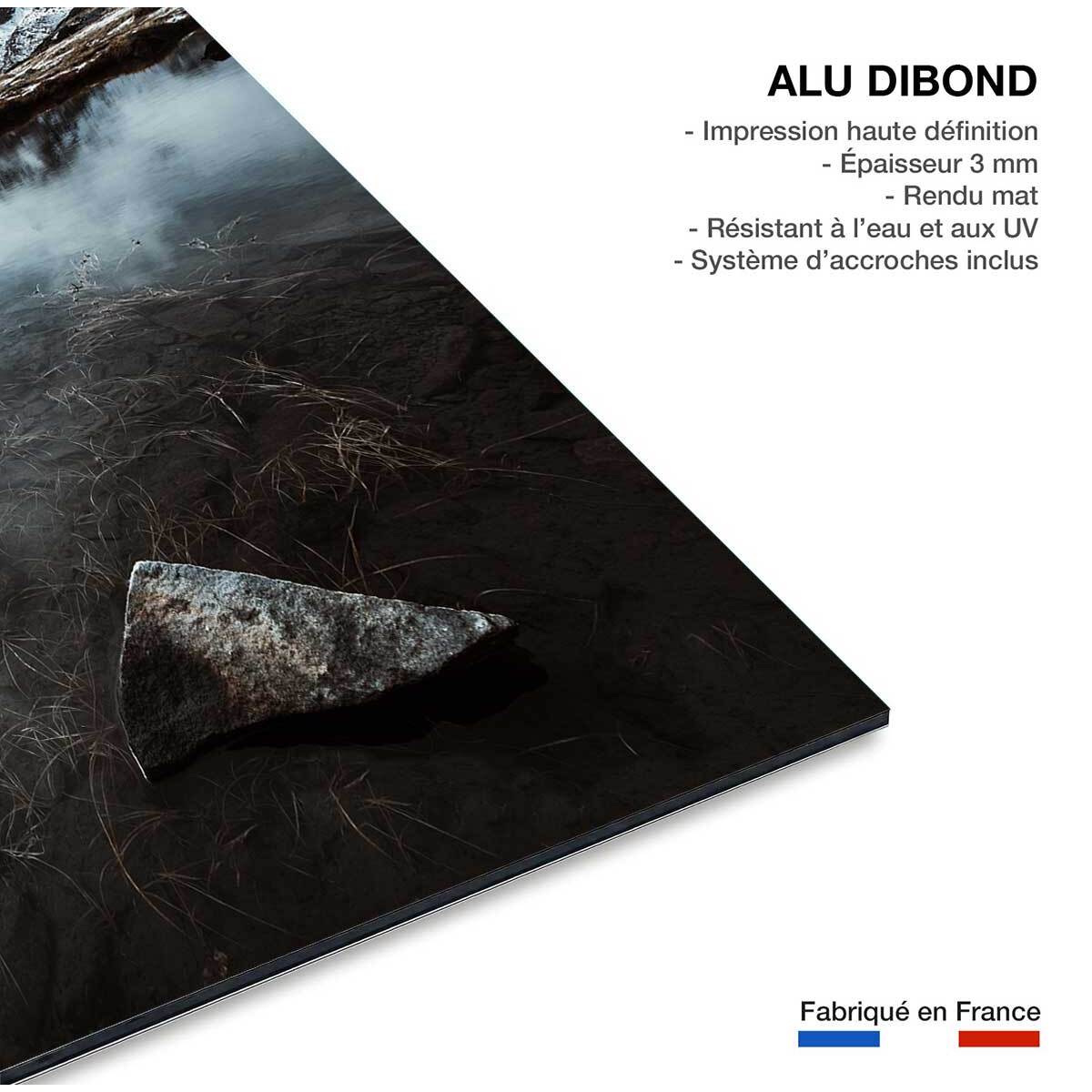 Tableau face aux alpes Tableau alu Dibond