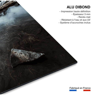 Tableau face aux alpes Tableau alu Dibond