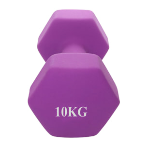 Neo Dumbbell 1 Pair Kg 10