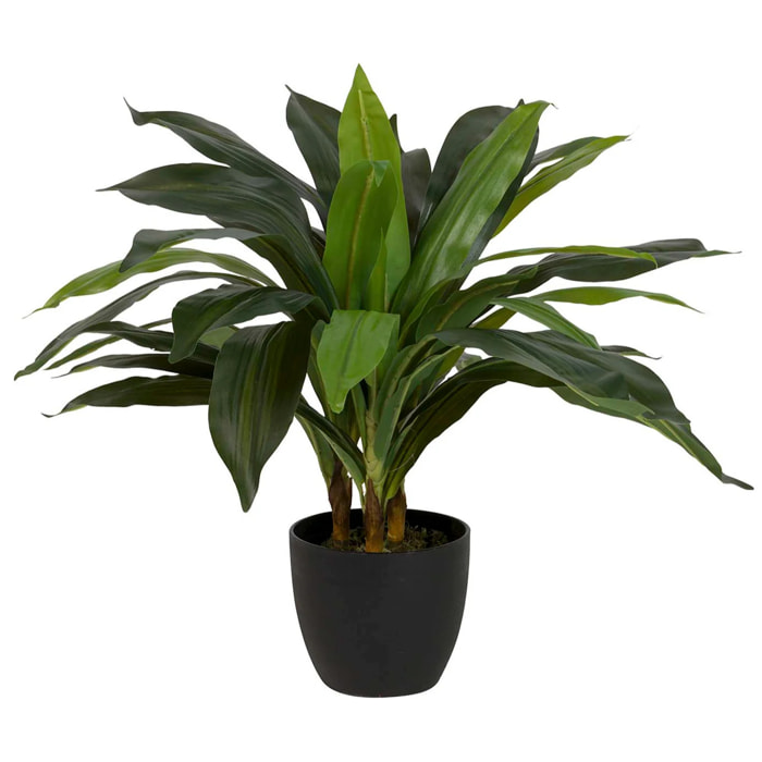 Planta Artificial Dracaena Fragrans Con Maceta 55x55x55 Cm