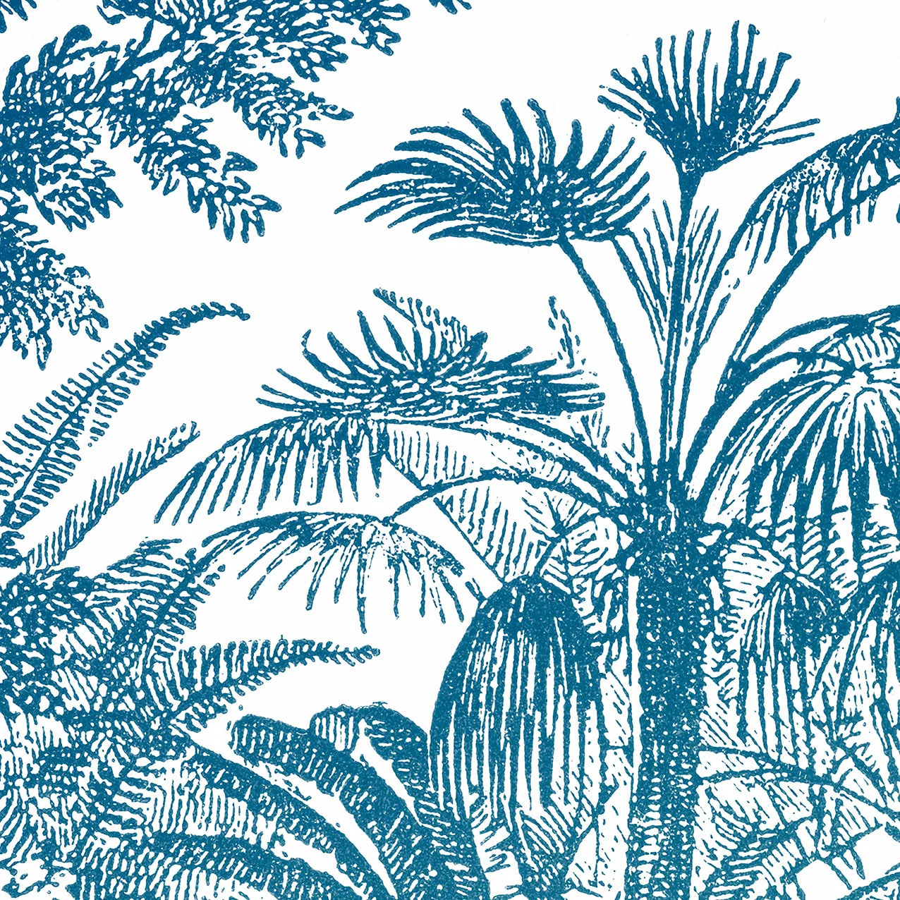 Papier peint panoramique Araucaria - Bleu Vert