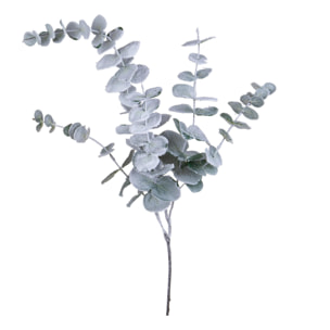 Eucalipto - Pezzi 6 - 18xH103x17cm - Bianchi Dino SpA