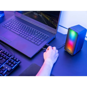 Enceinte PC TRUST GXT611 WEZZ