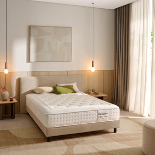 Colchón Ensacado Continental Altura 26 cm +/-2