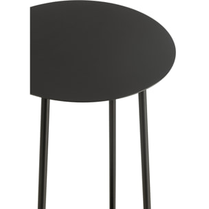 J-Line supprot pour fleurs Deux - métal - noir