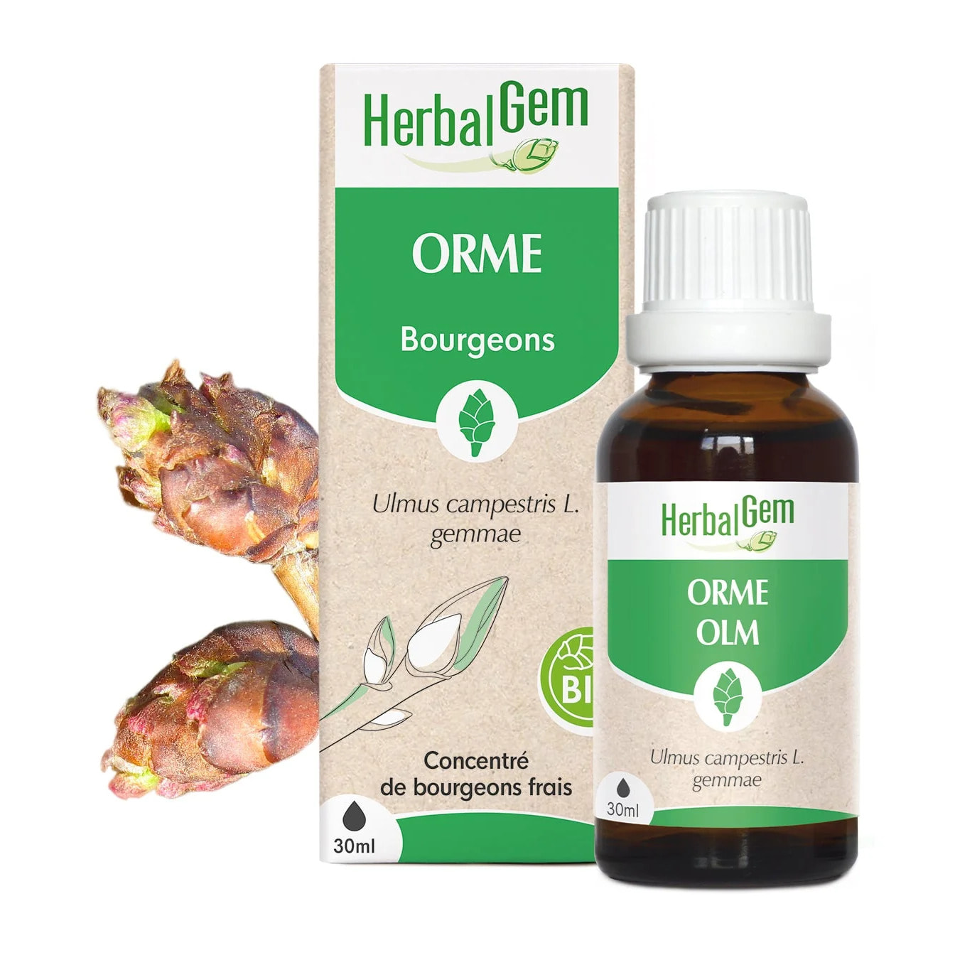 Herbalgem- Bourgeon d'Orme - Bio - 30 ml