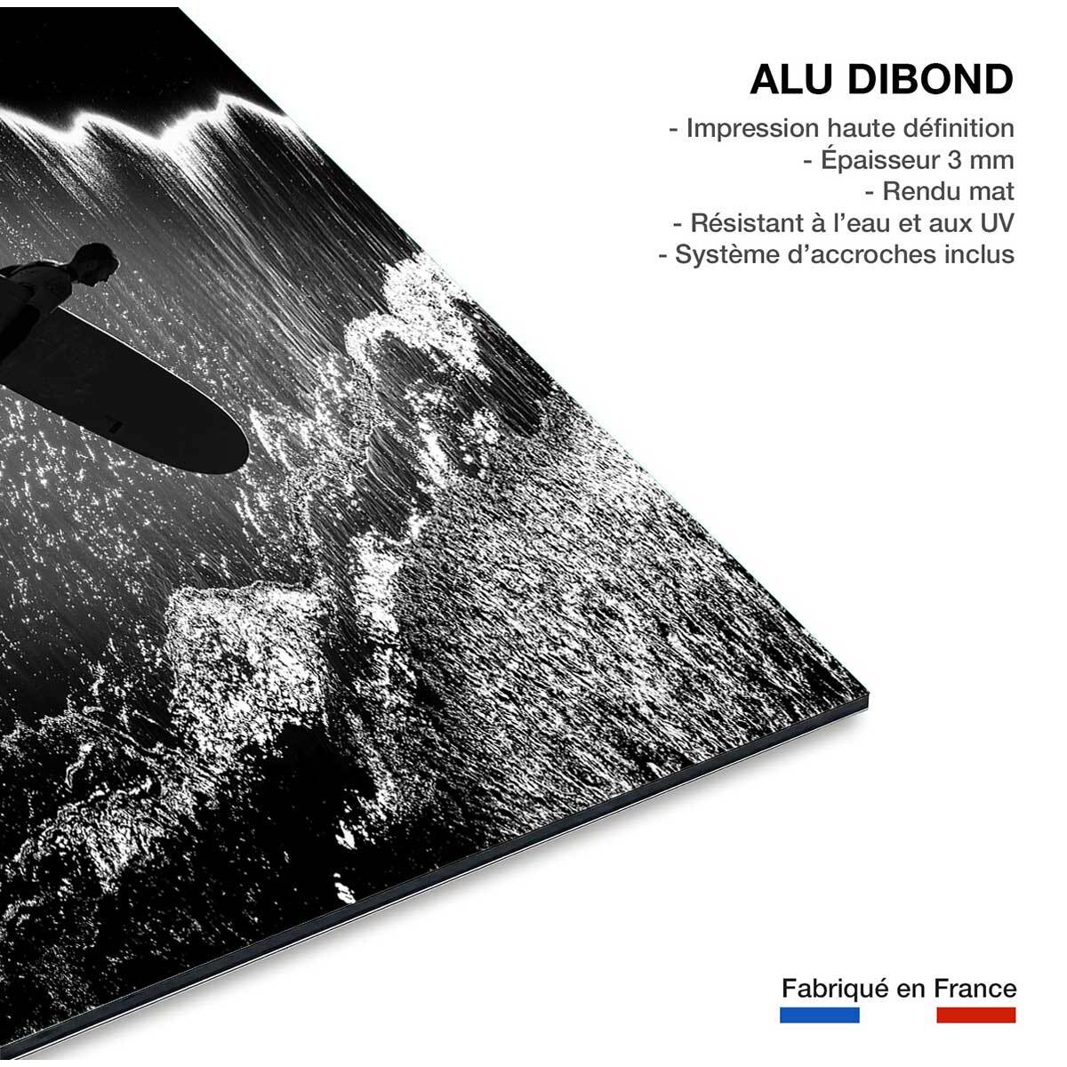 Tableau surf Tableau alu Dibond