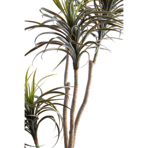 Nolina Recurvata H.210 Cm - Pezzi 1 - 80X210X80cm - Colore: Verde - Bianchi Dino - Piante Artificiali