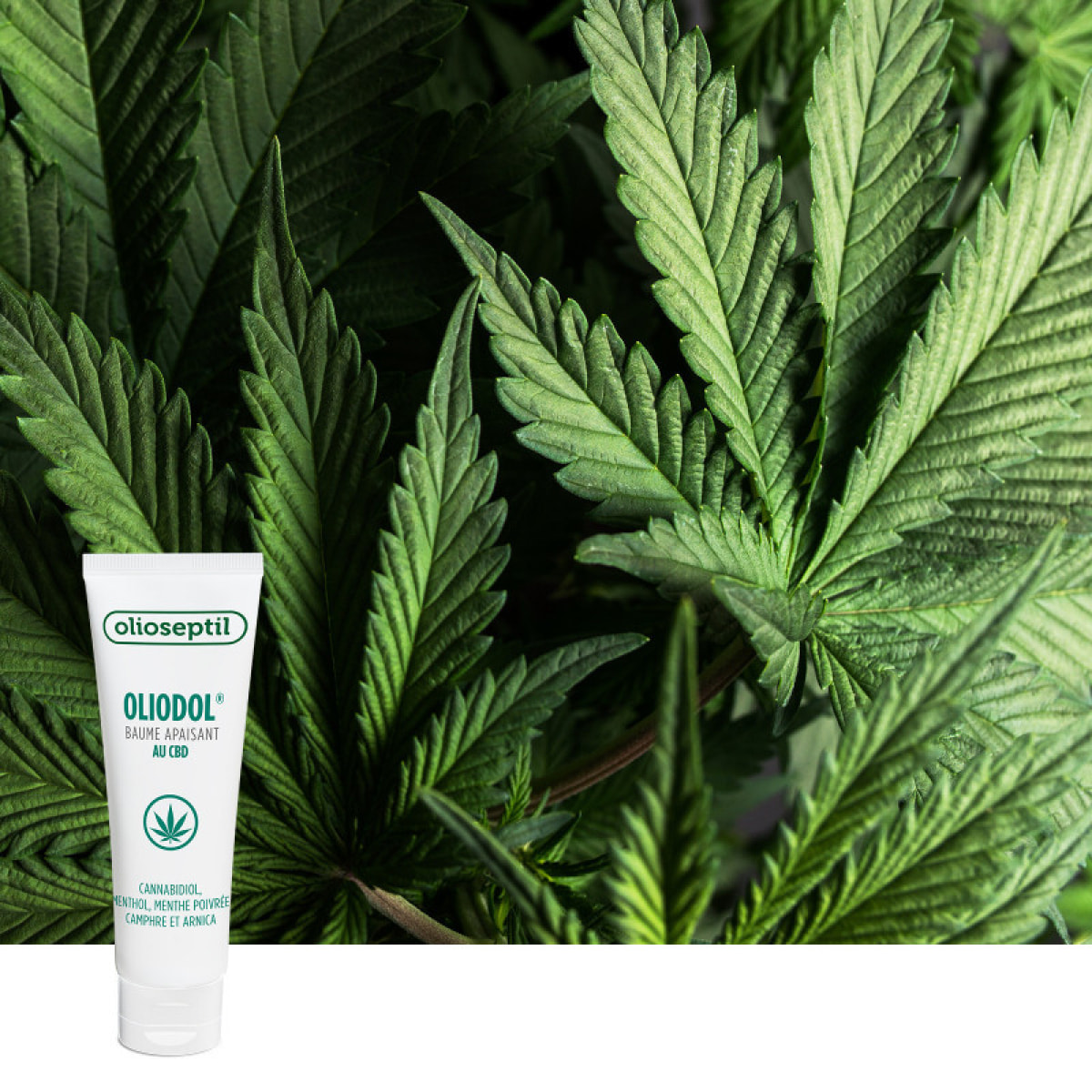 OLIOSEPTIL - Oliodol - Baume apaisant - Enrichi en Cannabidiol (CBD), menthol & huiles essentielles - Apaise les gênes musculaires - 100% Vegan - 2 Tubes 50ml