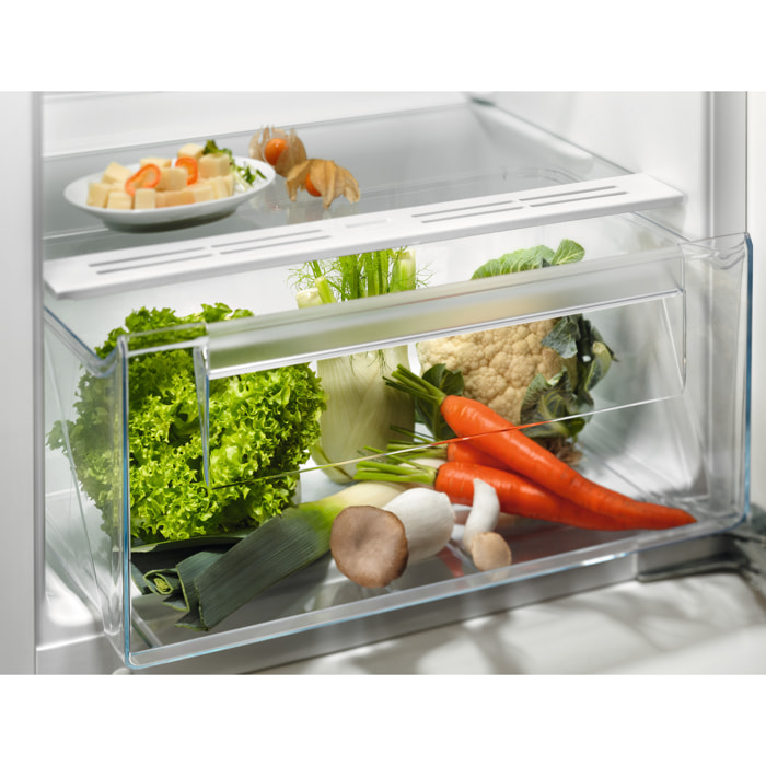 Electrolux Frigorifero Serie 500 LRB3AE12S