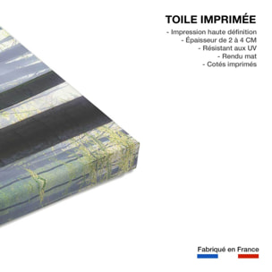 Tableau nature jacinthes et sous-bois Toile imprimée