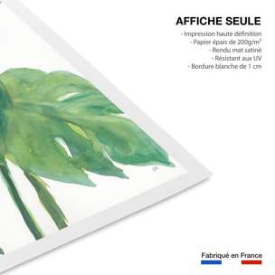 Affiche Plante monstera watercolor Affiche seule