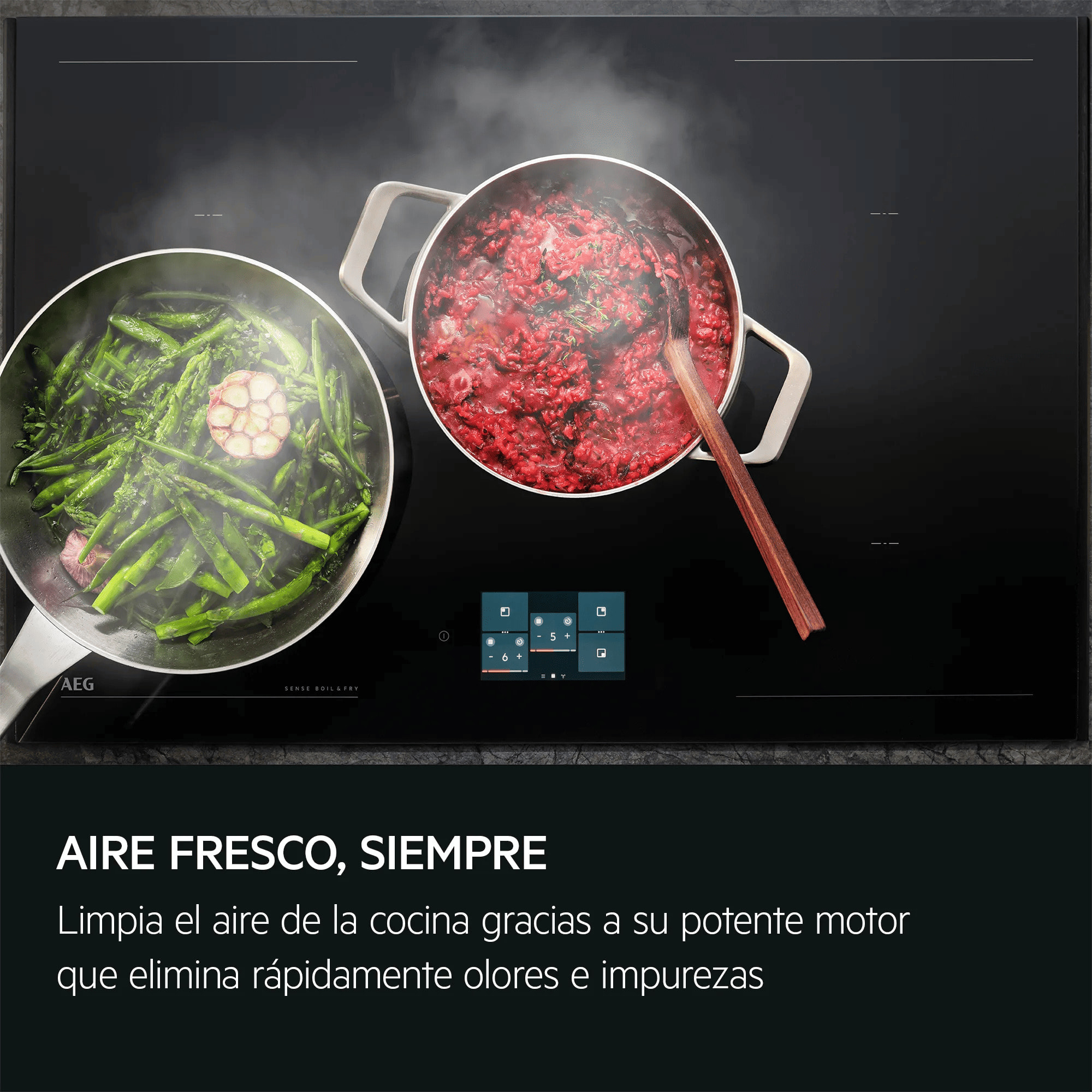 AEG Campana extractora extraíble Serie 5000 Extractor de 60 cm DPE5660M