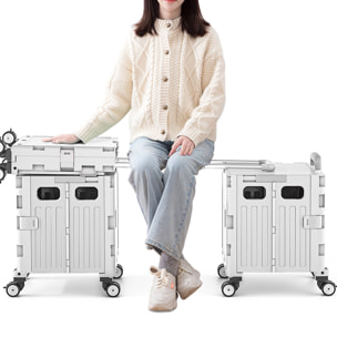 Carrito de almacenaje Plegable 38 × 32,5 × 89,5 cm. con 4 ruedas giratorias de 360º color Gris-32L
