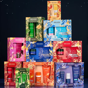 WELEDA - COFFRET NOEL VISAGE GRENADE 2026
