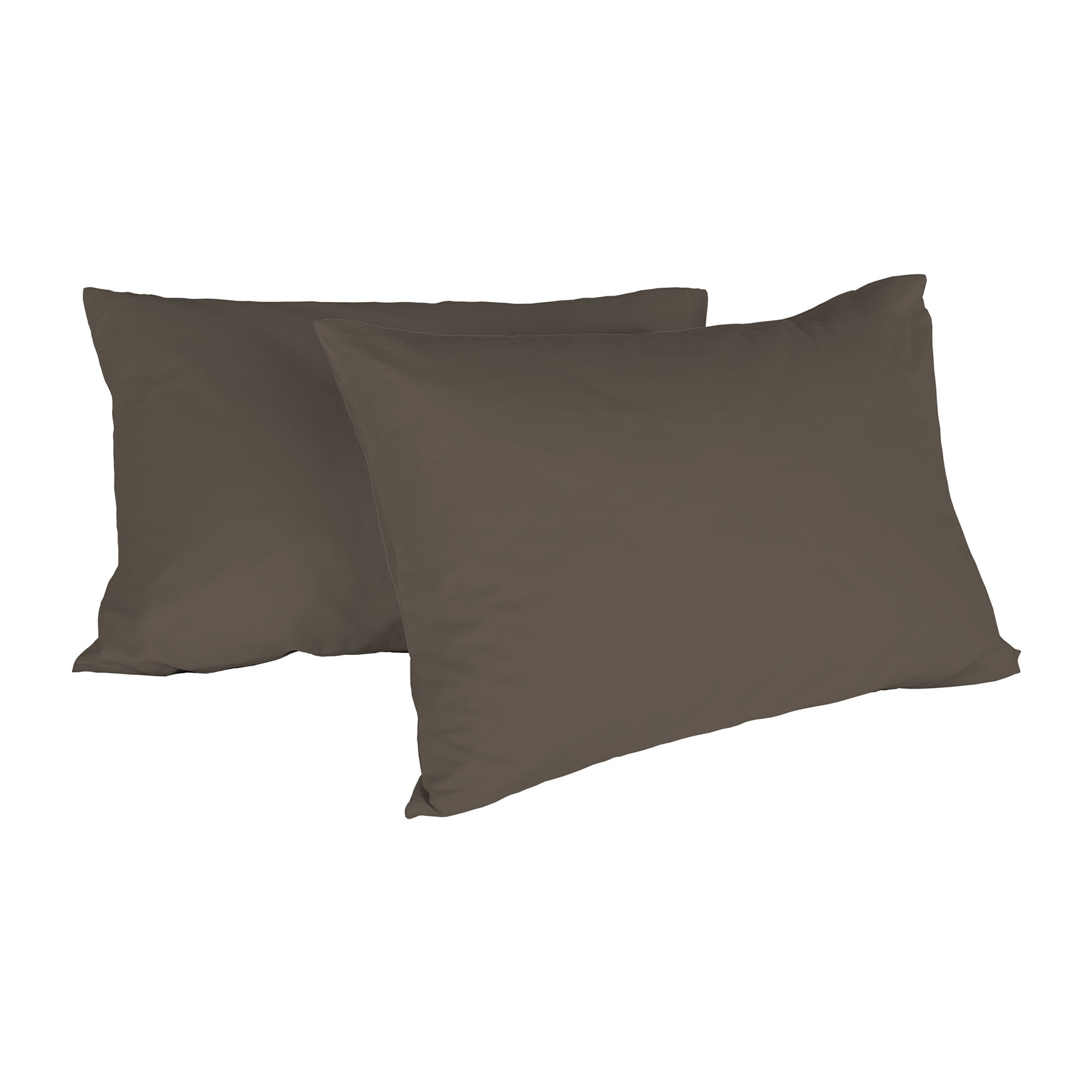 COPPIA FEDERE MAX COLOR, 100% Cotone, Made in Italy - MARRONE