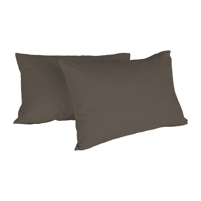COPPIA FEDERE MAX COLOR, 100% Cotone, Made in Italy - MARRONE