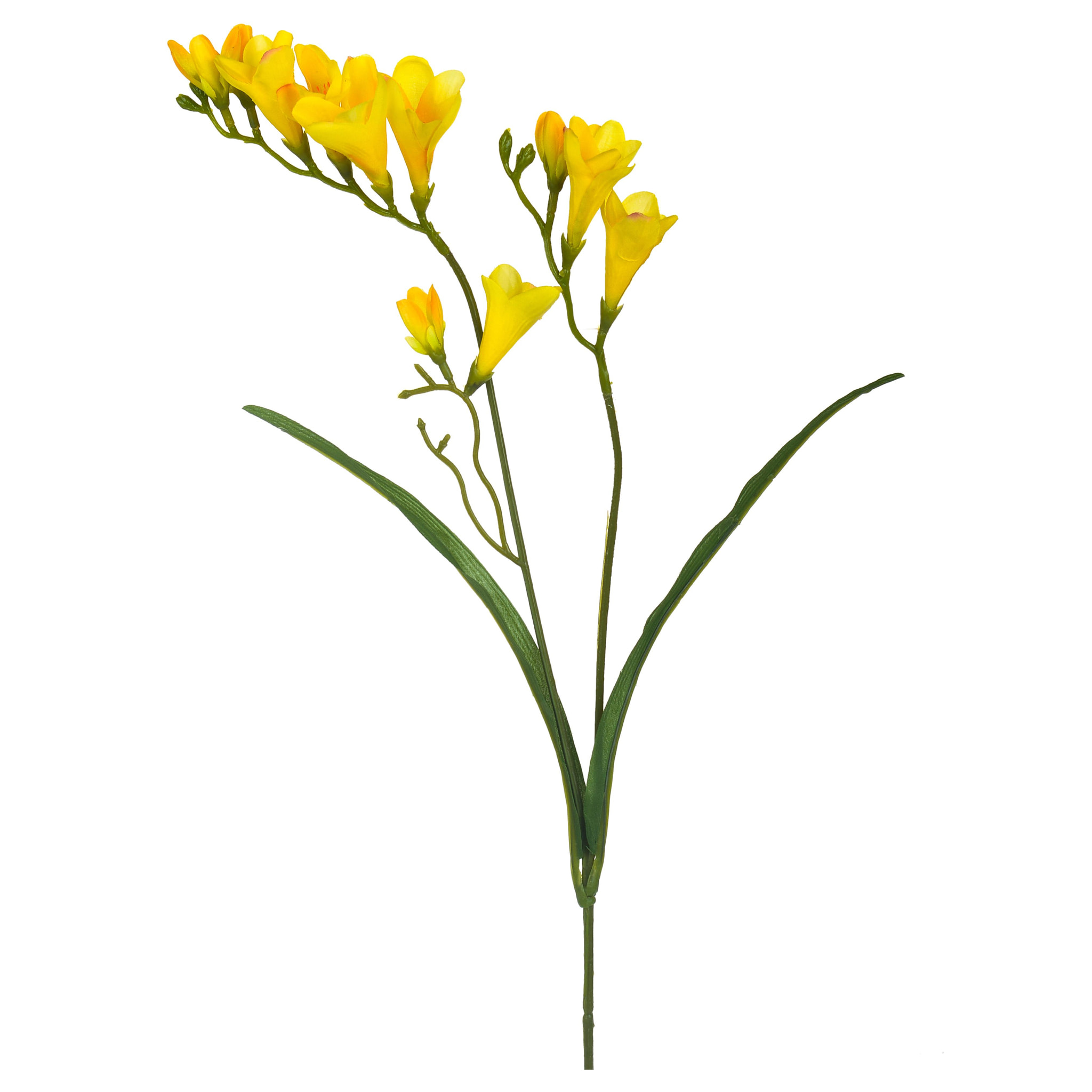 Fresia Composta Da 2 Fiori. Altezza 58 Cm - Pezzi 12 - 10X69X3cm - Colore: Giallo - Bianchi Dino - Fiori Artificiali