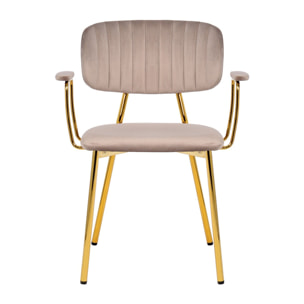 Set di 2 sedie con braccioli Kian 200 in velluto taupe