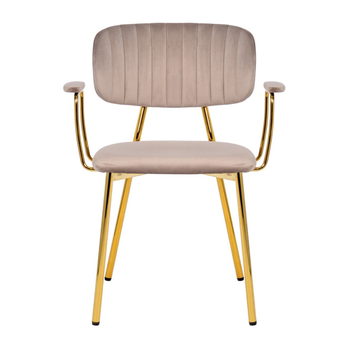 Set di 2 sedie con braccioli Kian 200 in velluto taupe