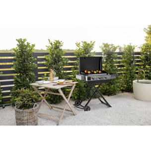 Plancha à gaz avec chariot pliable et portable "Firo" - 7,5 kw - Noir