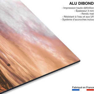 Paysage nature montgolfière en cappadoce  Tableau alu Dibond