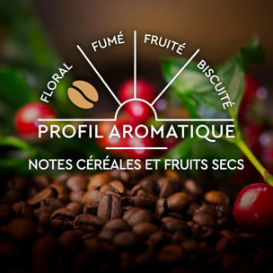 L'iconique x30 - Capsules compatibles Nespresso en aluminium