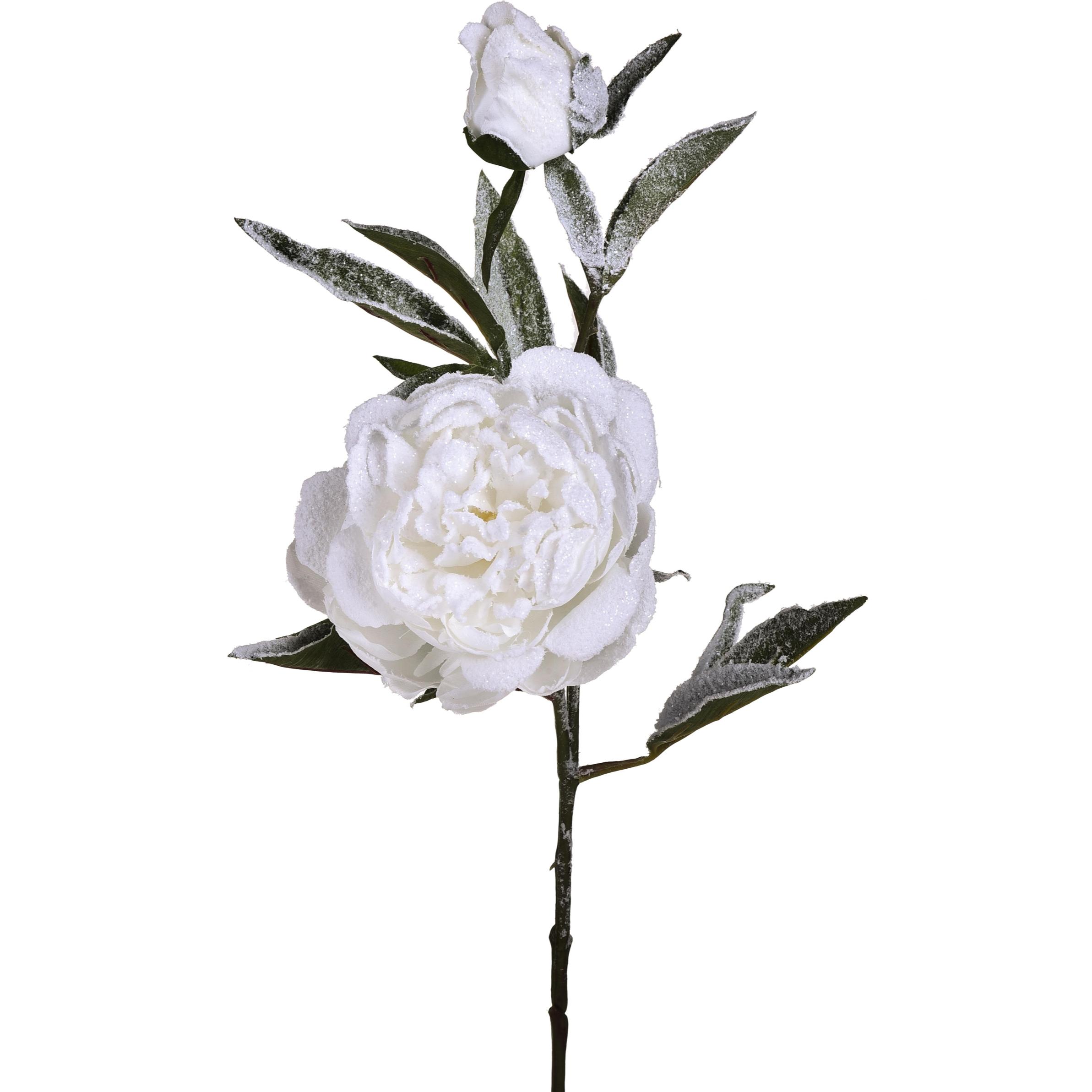 Peonia Con 2 Fiori E Neve. Altezza 71 Cm - Pezzi 4 - 16X71X15cm - Colore: Bianco - Bianchi Dino - Articoli Natalizi