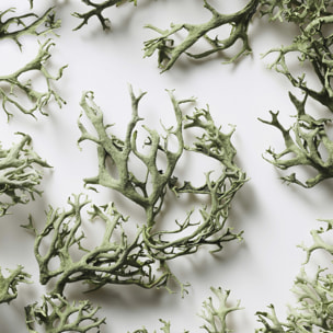 Big Pony - Eau de Toilette