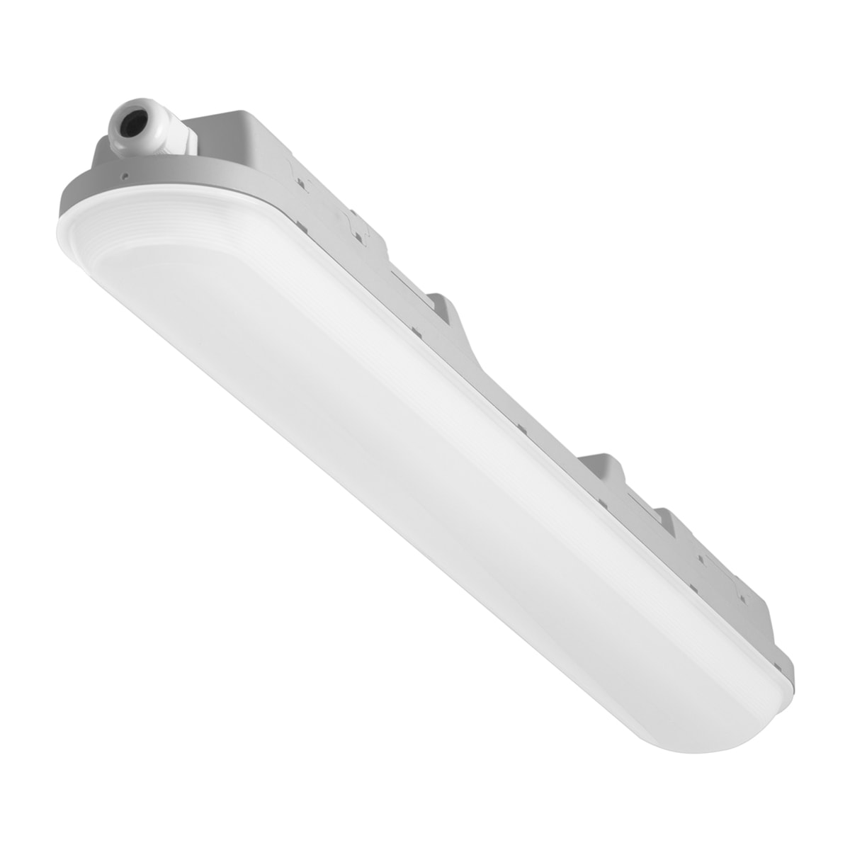 Forlight Pop - Pantalla Estanca LED 16.1W de 56cm. Impermeable a Prueba de Polvo y Humedad IP65. Ideal para Garajes | Talleres