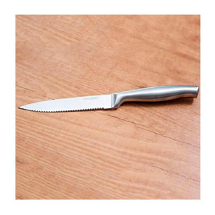 Set de 6 couteaux dentés professionnels pour viandeManche et lame forgés en une