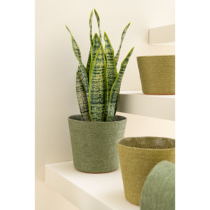 J-Line Cache-Pot Cordes  Papier/Pet Vert Extra Large Assortiment De 2