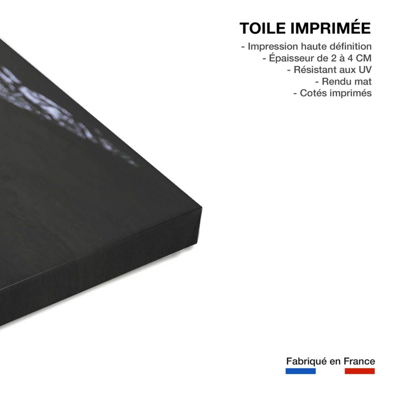 Tableau tigre Regarde moi Toile imprimée