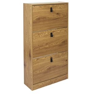 Meuble A Chaussures 3 Portes Abbott