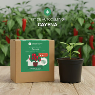 Kit de autocultivo Cayena Planeta Huerto