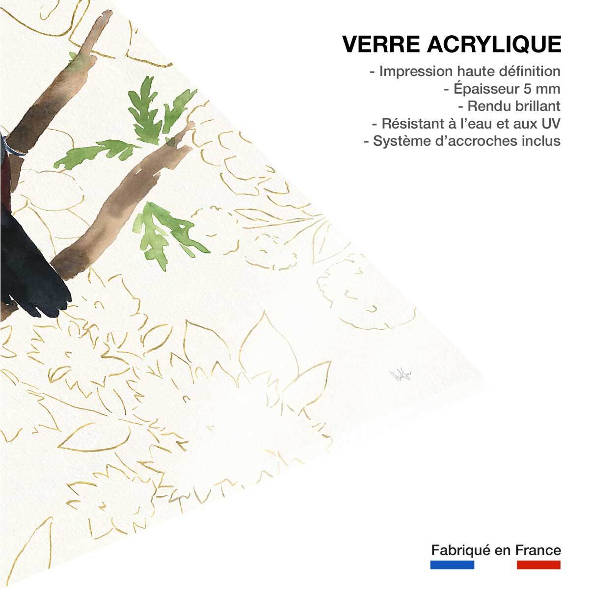 Tableau Joyeux oiseaux tropicaux Tableau plexiglas